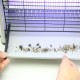 Лампа против насекоми Pest Killer за магазини и заведения 20W Лампа против насекоми Pest Killer за магазини и заведения 20W